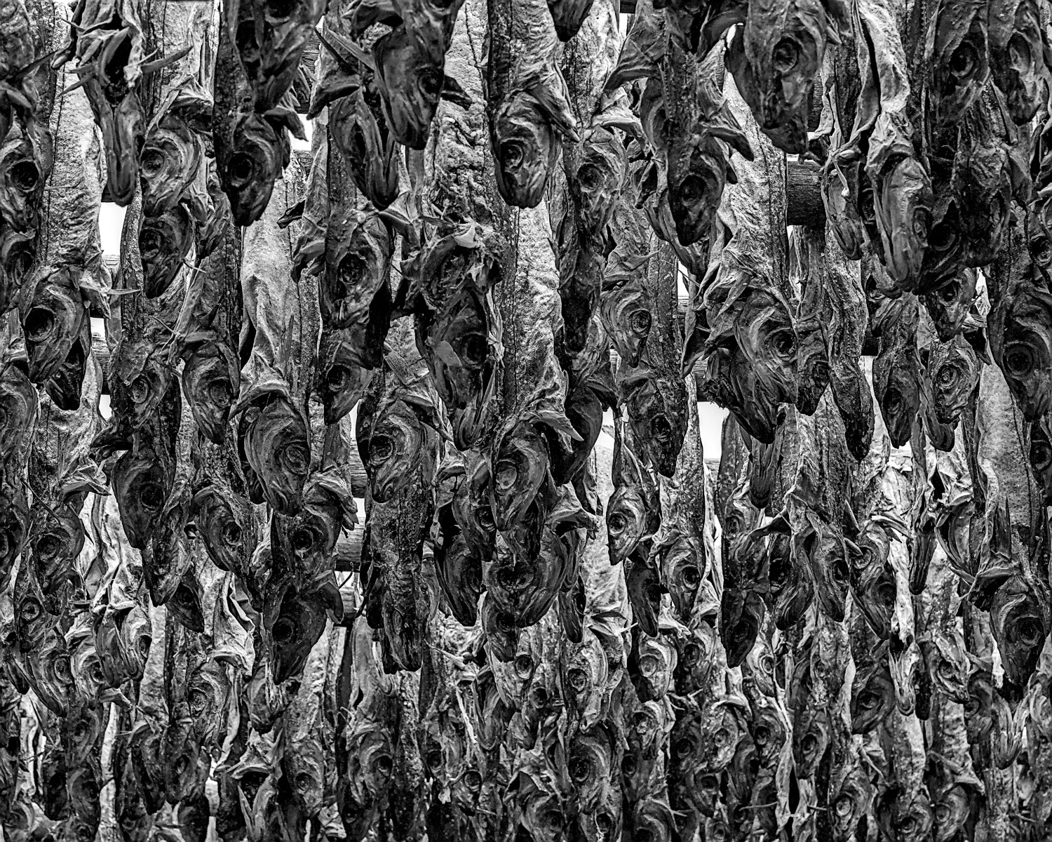 Hung out to dry