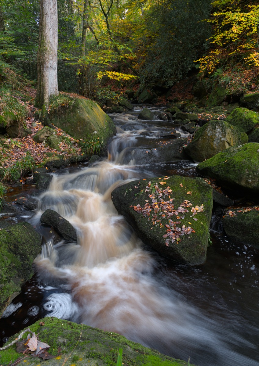 Padley Gorge - Autumn 2025