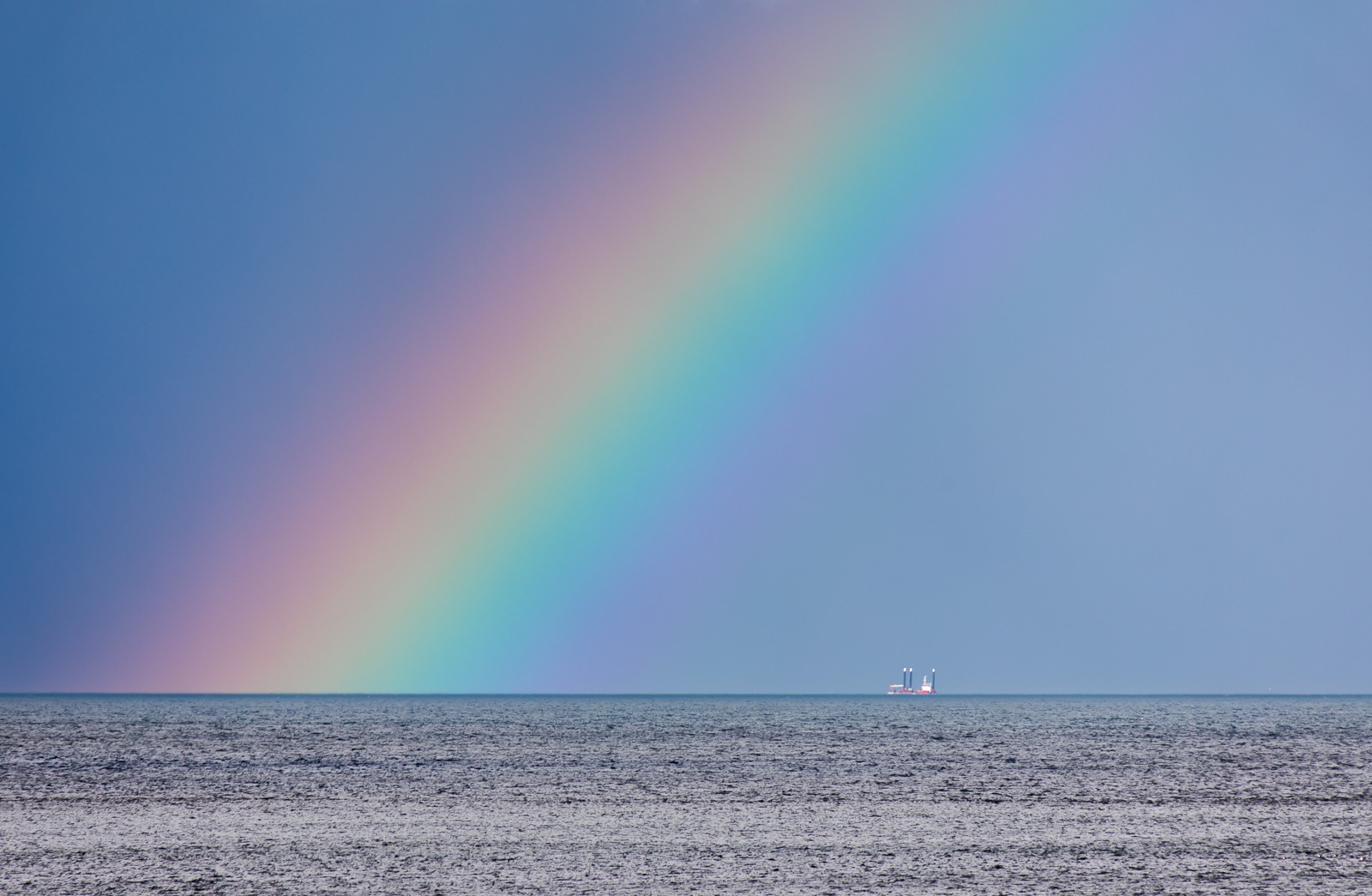 Richard of York by Dan Jeffery Richard of York