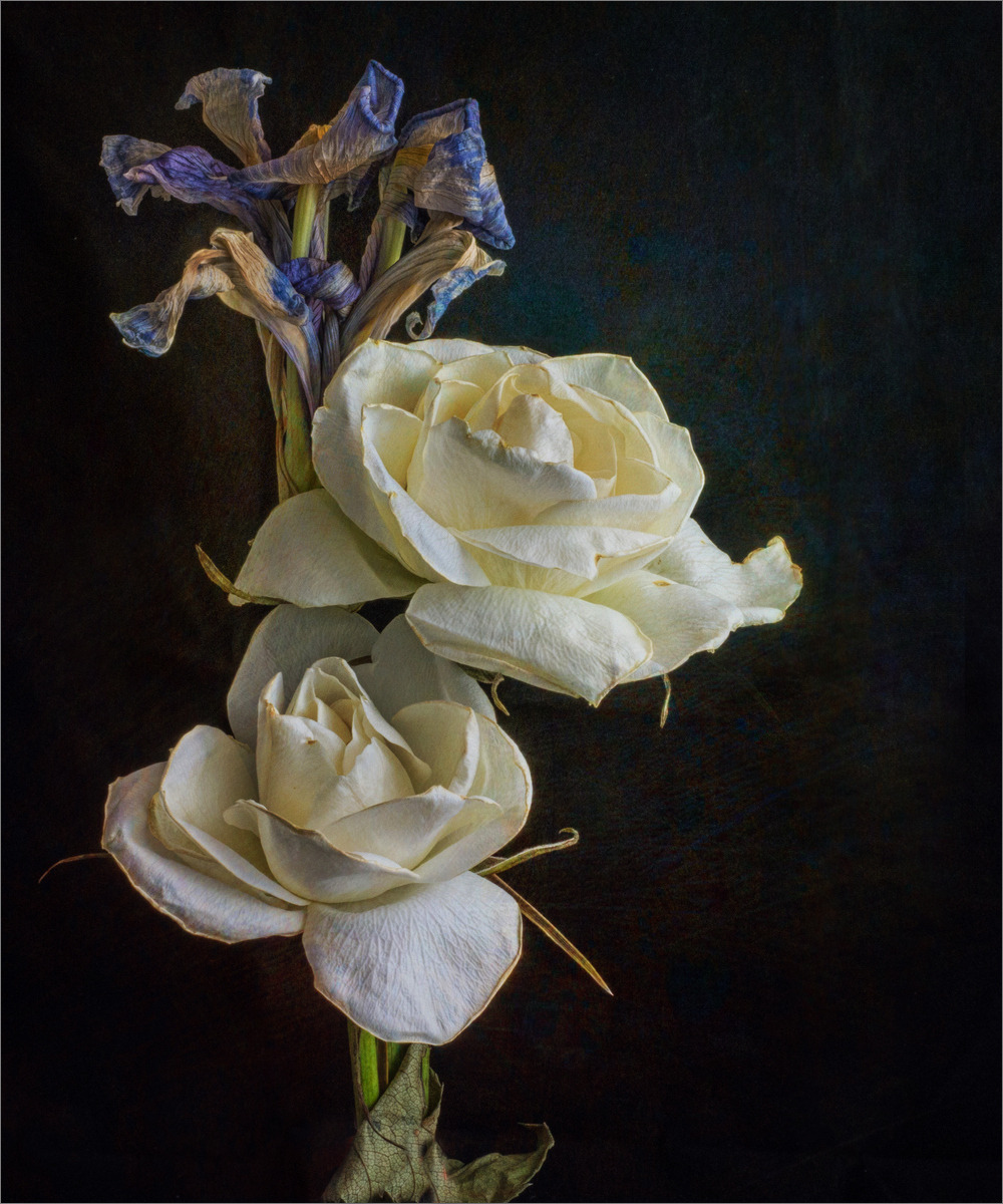 Faded Booms by Peter Wells Faded Booms