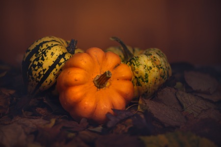 Autumn Squash