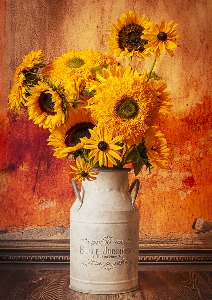 sunflowers still life