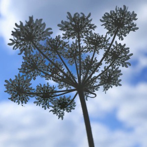 Reach for the sky