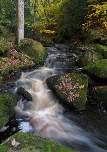 Padley Gorge - Autumn 2025