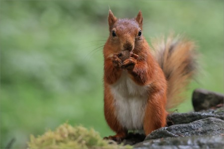 Caught snacking -  POTY 2026