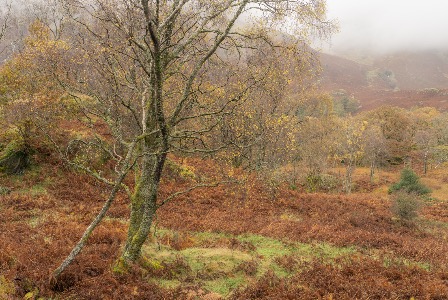 Borrowdale