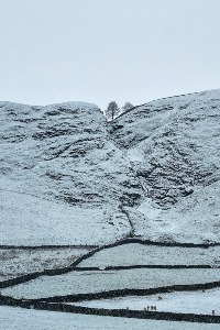 After the snowfall - POTY 2026 (Landscape)
