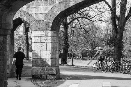 Race Ya.......but slowly! - POTY 2025 (Street)