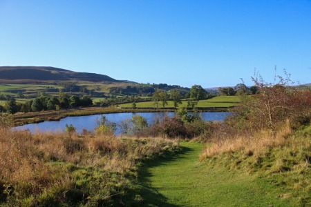 Pinkers Pond, Middleham Moor - POTY 2026