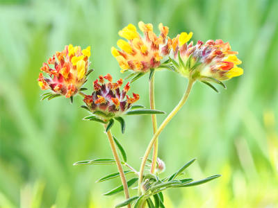 1st place print - Neil Clarke