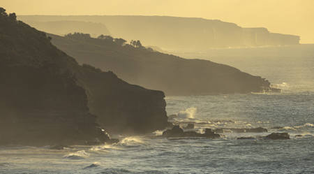 Morning Coastline Mists