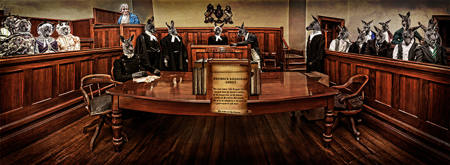 Kangaroo Court
