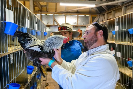 Albion Park Show - Greg Powell