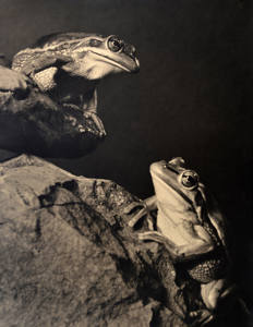 Wherefore Art Thou Romeo