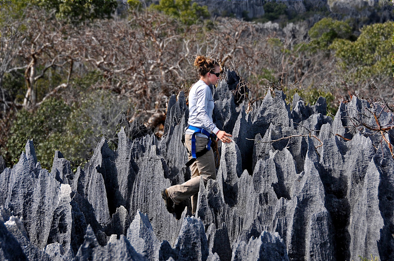 Stone Forest - Madagasca