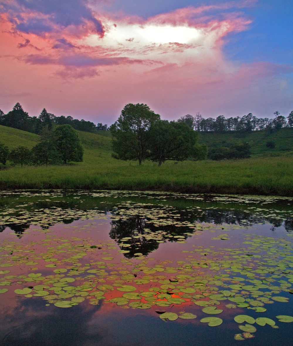 - Bowraville K7_37615