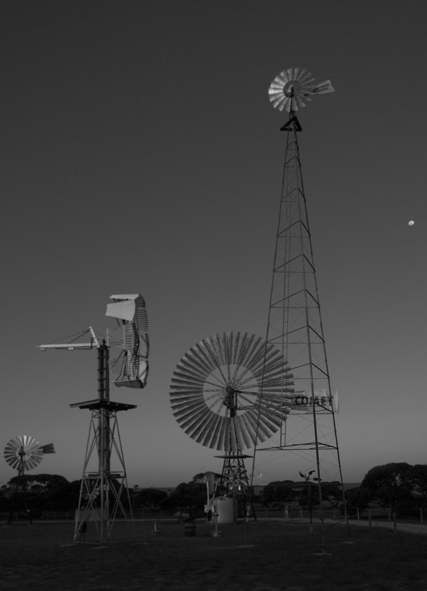 Penong Windmills at night  