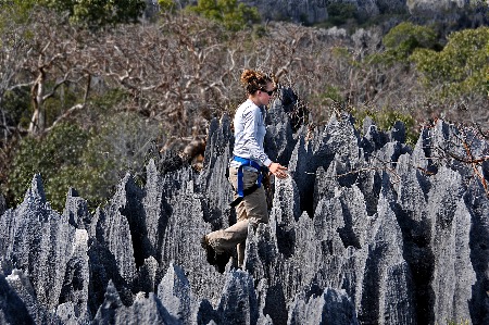 Stone Forest - Madagasca