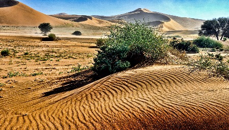 Sand Sculptures Namib