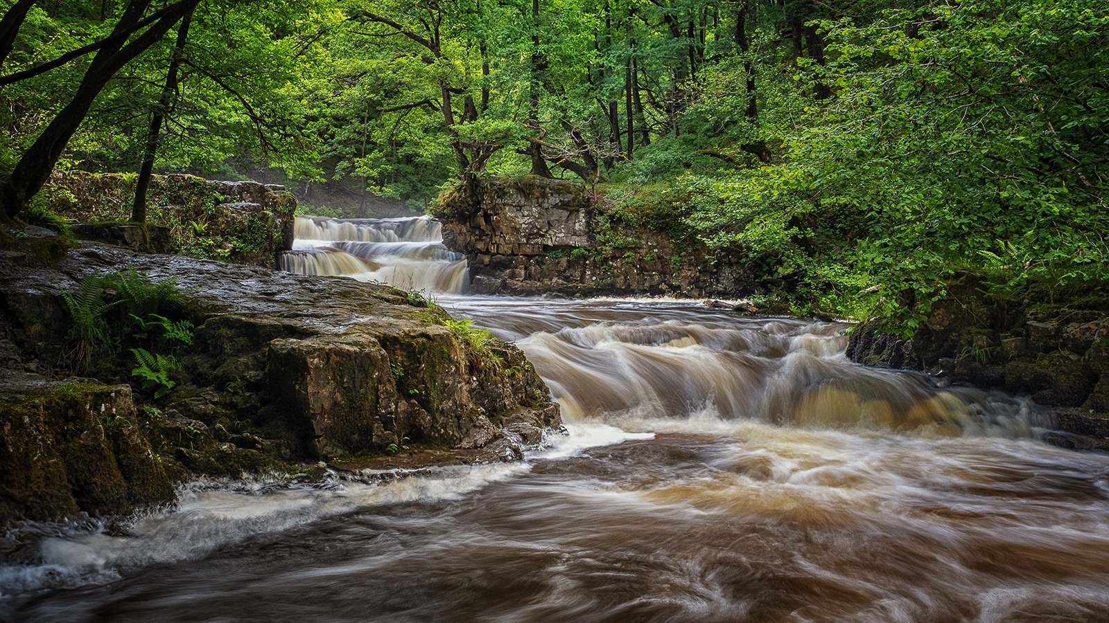 Horseshoe Falls