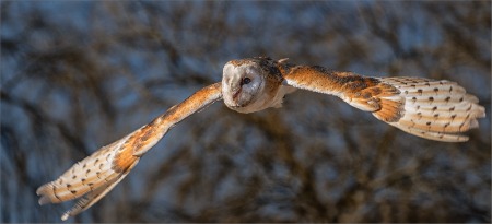 Fred Blogs (RH Test) TEST ACCOUNT(RH)