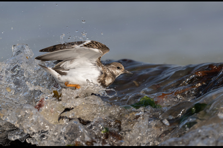 Caught Out By A Wave