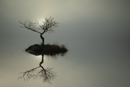 Heavy Mist At Rydal Water