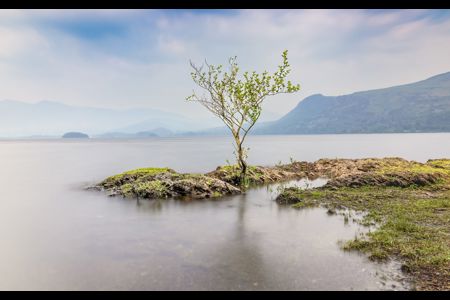 Lone Tree High Water