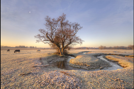 Winding Stream At Sunrise