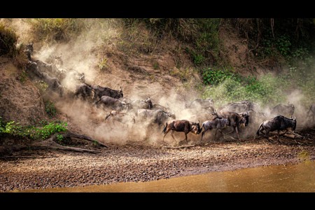 A Dusty Descent