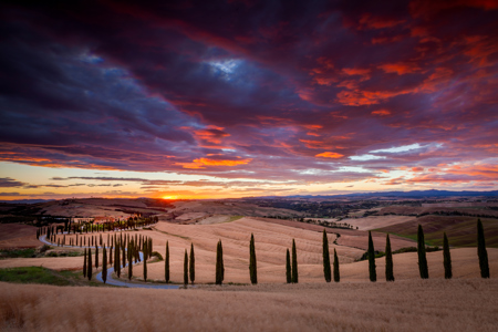 Tuscan Sunset