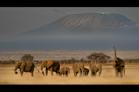 At The Foot Of Kilimanjaro