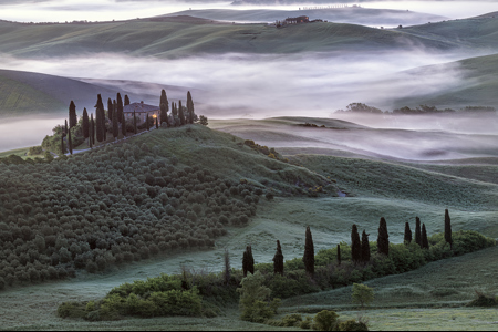 Mist Over Belvedere