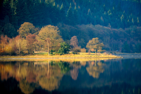 Autumn Reflections