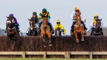 Horsepower David Feuerhelm