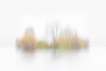 Misty Autumn Impressions