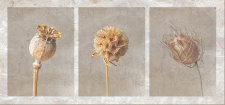 Seedhead Trio