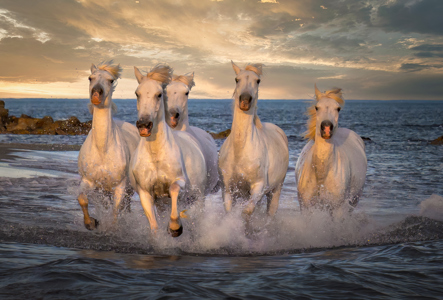 Running To The Sunset