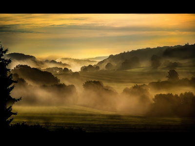 Early Morning Ardennes