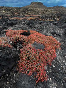 Parque Nacional Galapagos