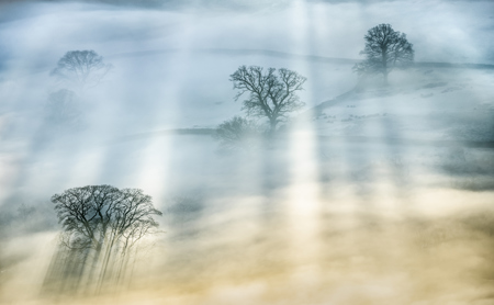 Sunbeams Through The Shadows