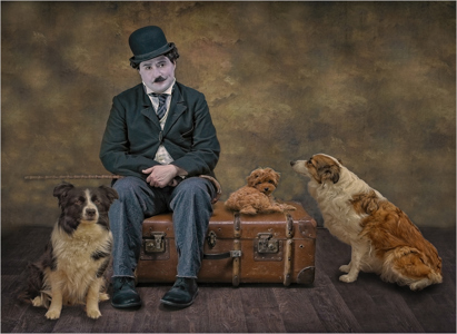 Who Let The Dogs Out