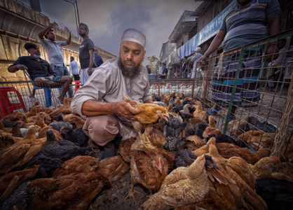 Chicken Market