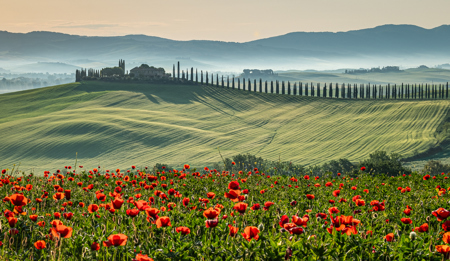 Tuscany Morning
