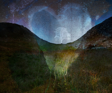 The Ghost Of Sycamore Gap