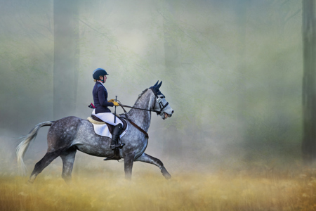 Riding Through The Woodland