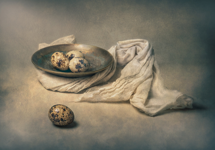 Still Life With Quails Eggs