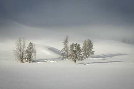 Snowy Yellowstone