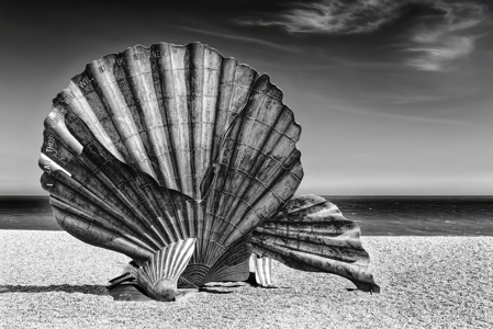 Aldeburgh Scallop