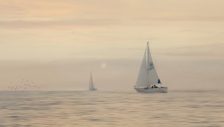 Colour - Sailing Home